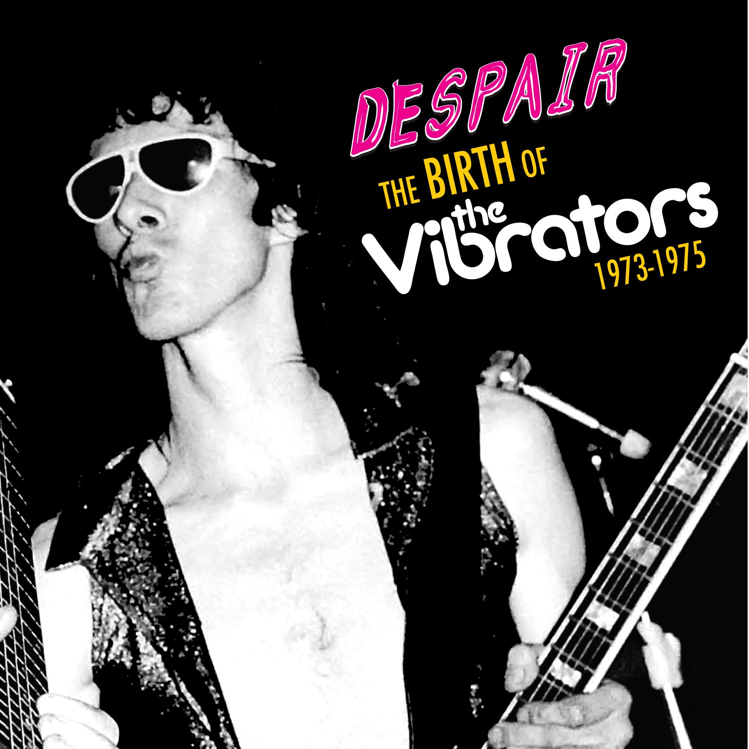 Despair - The Birth Of The Vibrators 73' - 75'