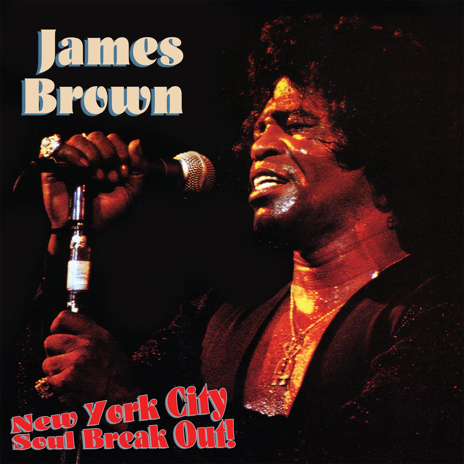 James Brown - New York City Soul Break Out! (LP)