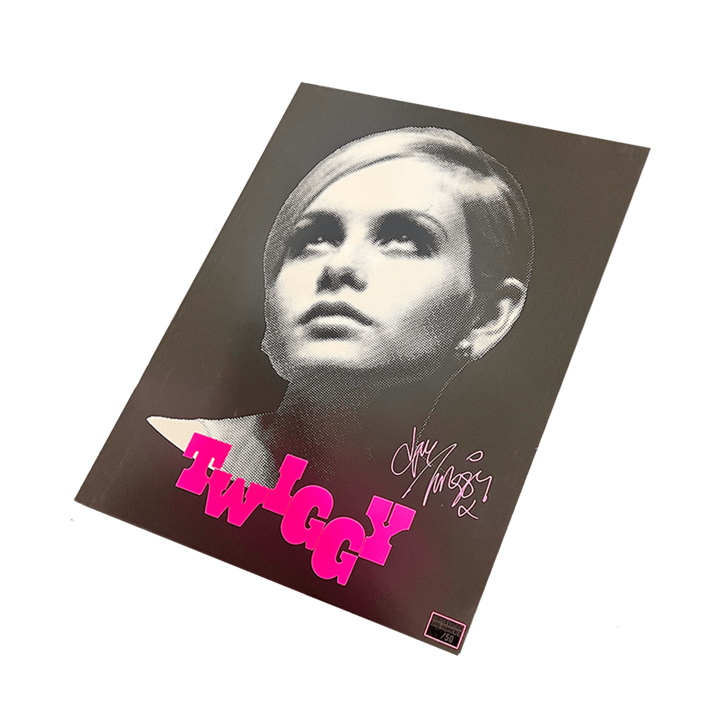 Twiggy: Mirrored Poster (18