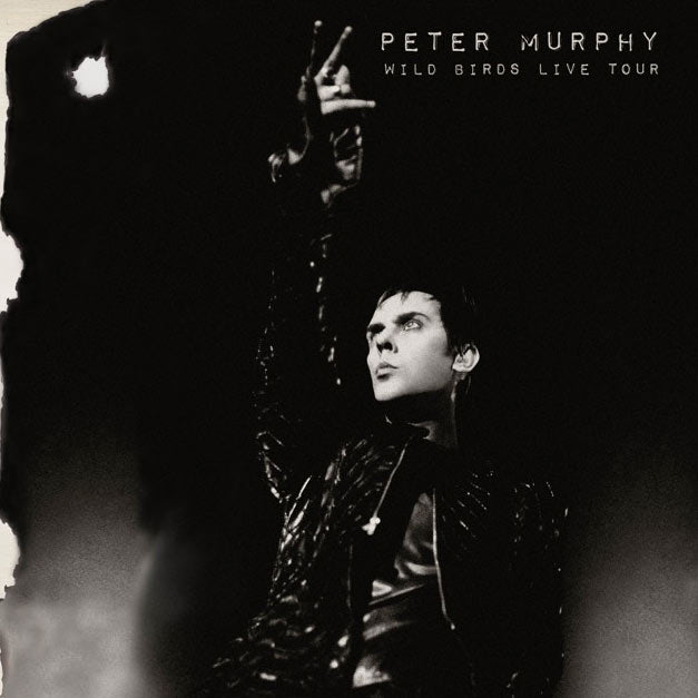 Peter Murphy - Wild Birds Live Tour (CD)