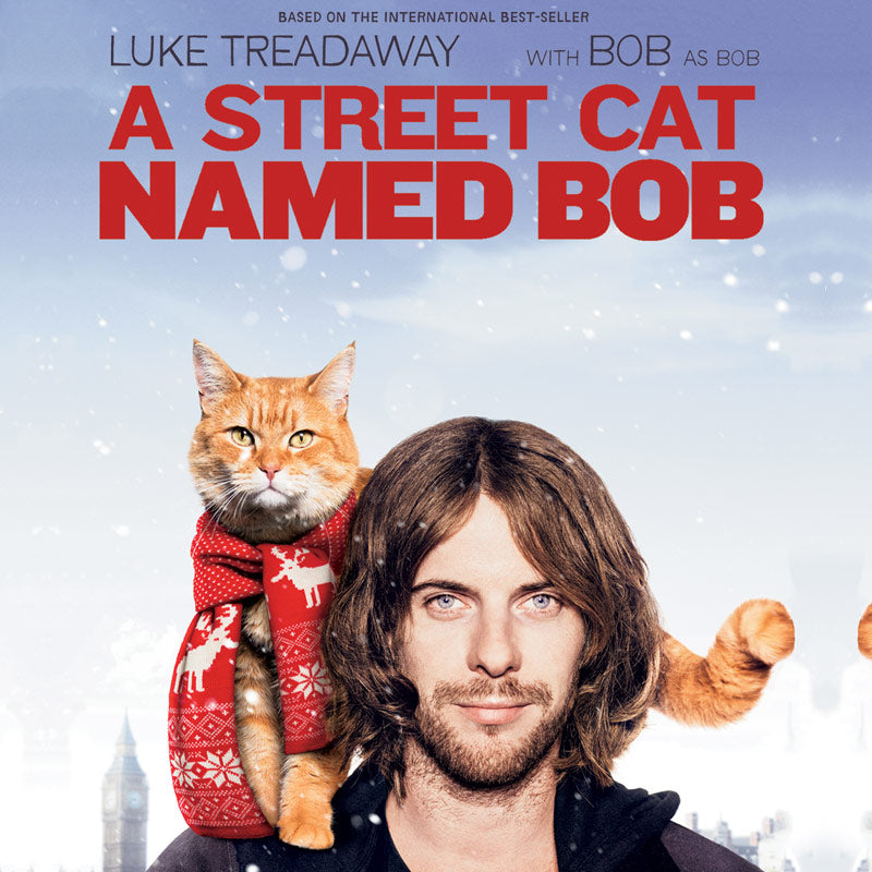 Street Cat Named Bob (DVD)