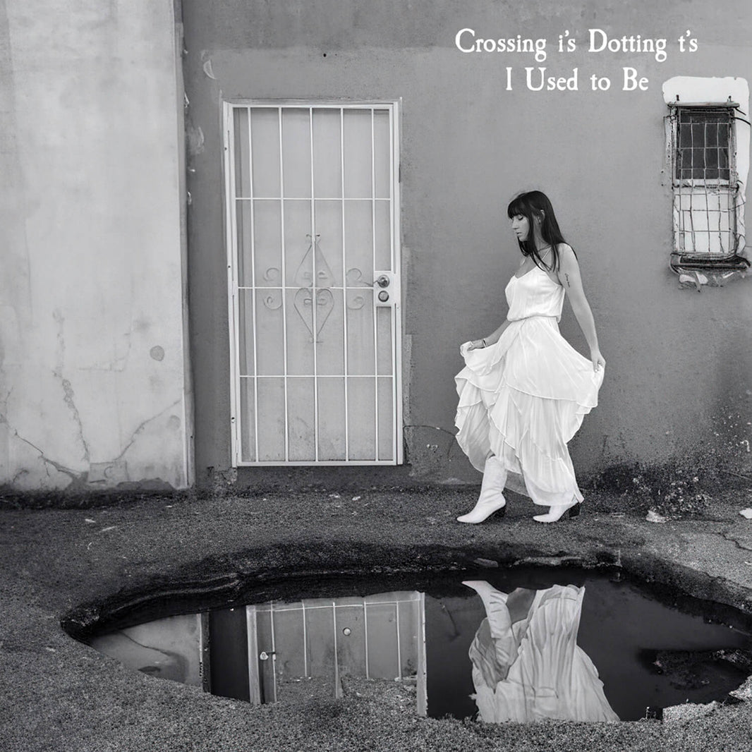 Crossing I’s Dotting T’s I Used To Be Is Here Again - Only Now It’s Physical