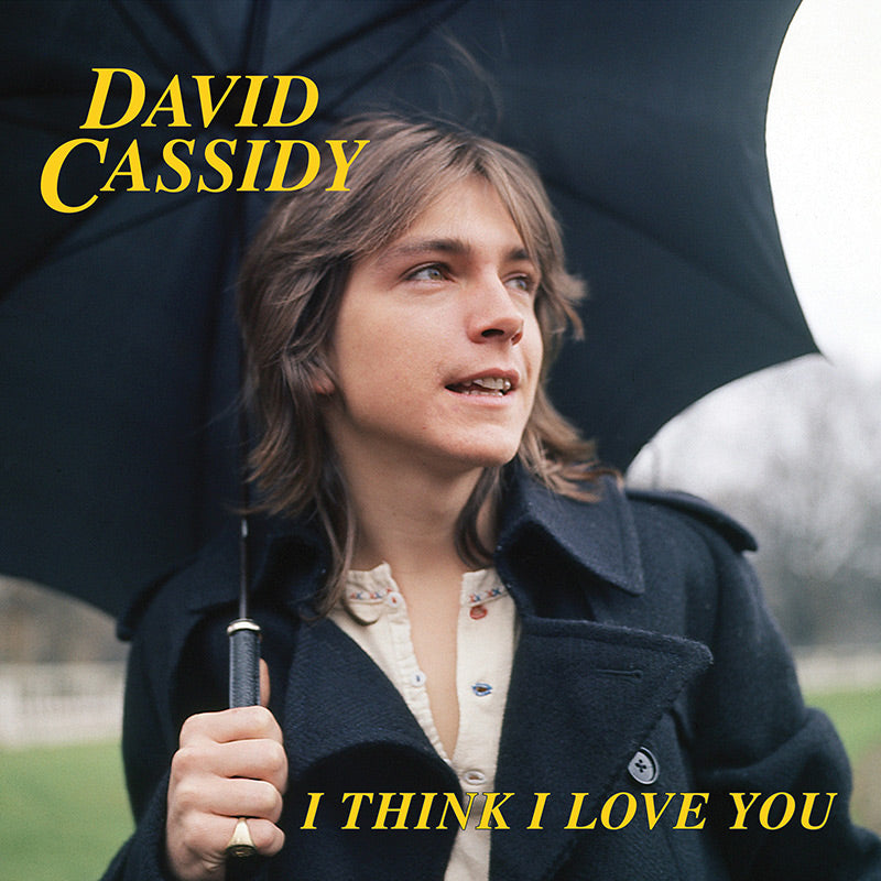 David Cassidy - I Think I Love You (7" Colored Vinyl) - Cleopatra Records