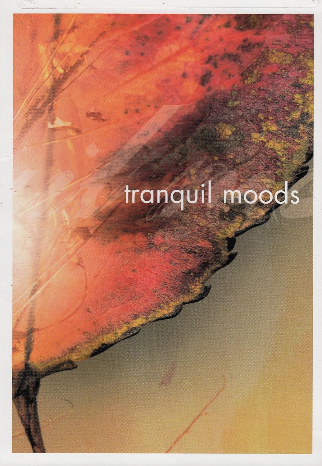 Tranquil Moods (DVD)