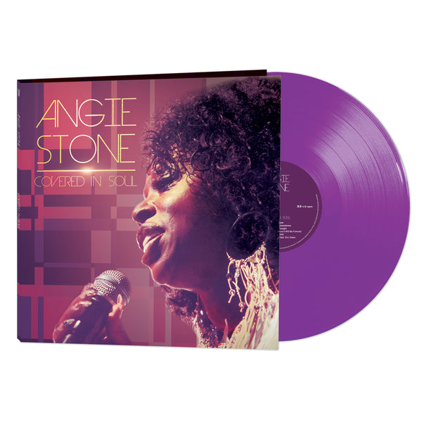 Angie Stone  レコード 1999年R&B Angie Stone / Black Diamond 1999 EU Original 2LP Vinyl