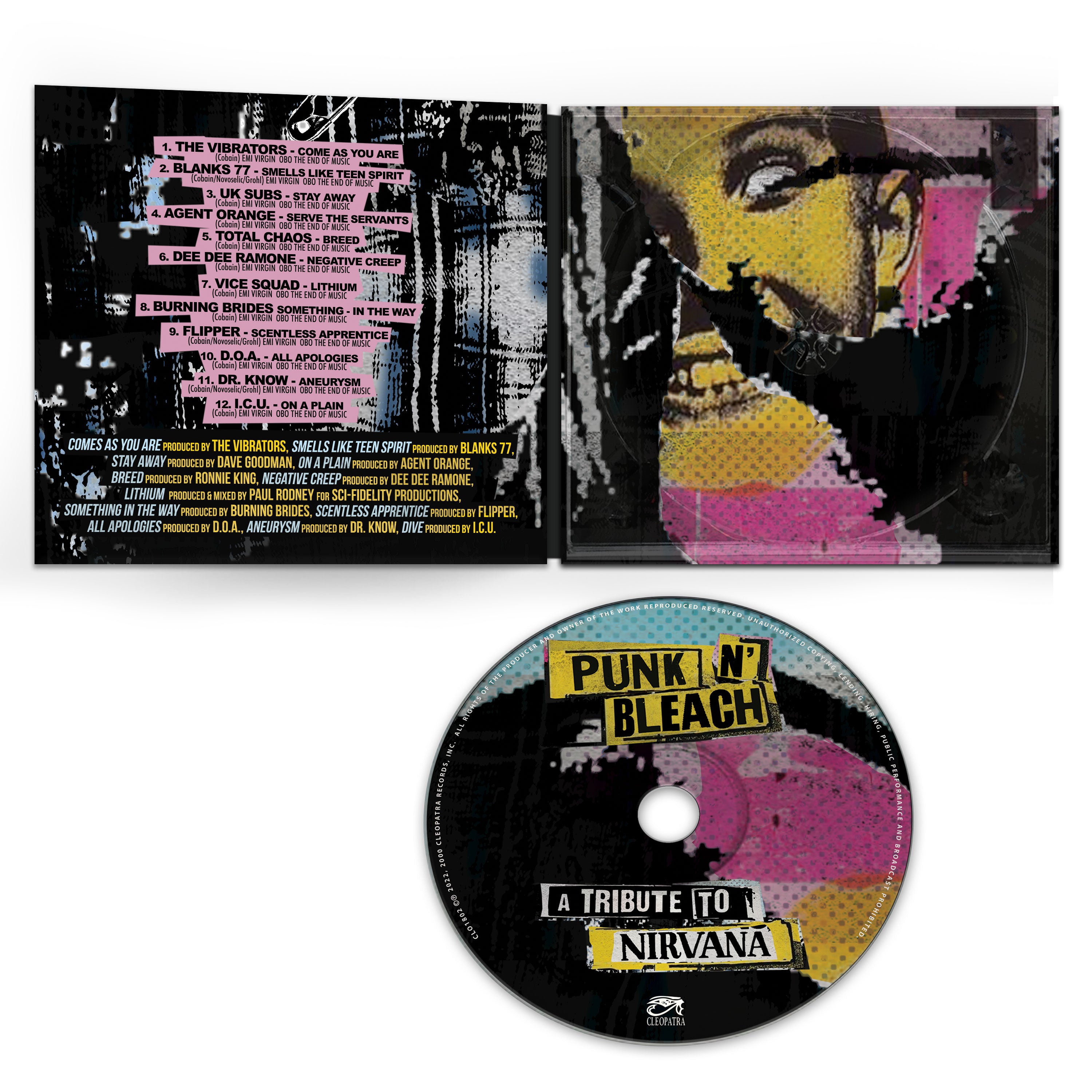 Punk N' Bleach - Un tributo a Nirvana (CD)