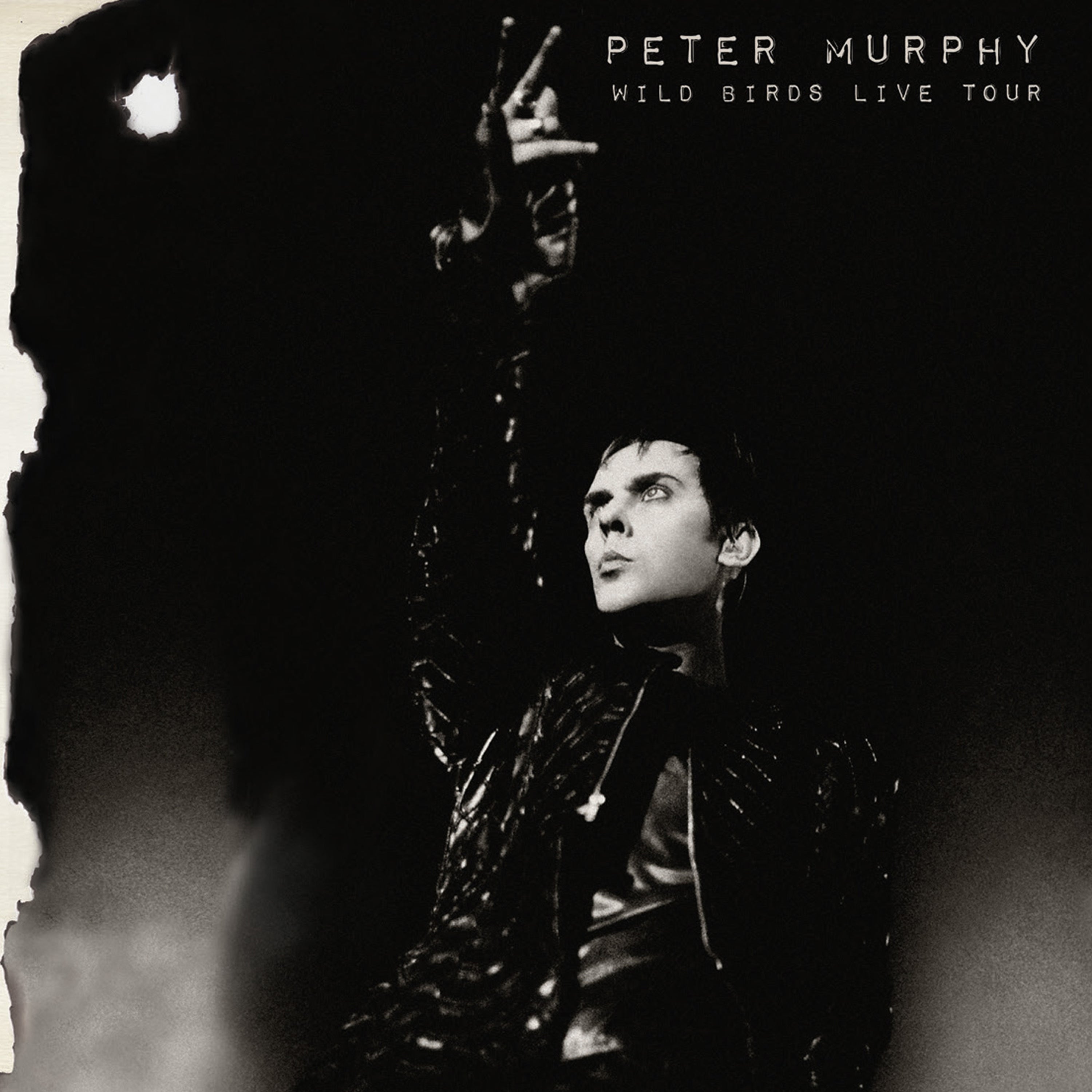 Peter Murphy - Wild Birds Live Tour (2 CD)