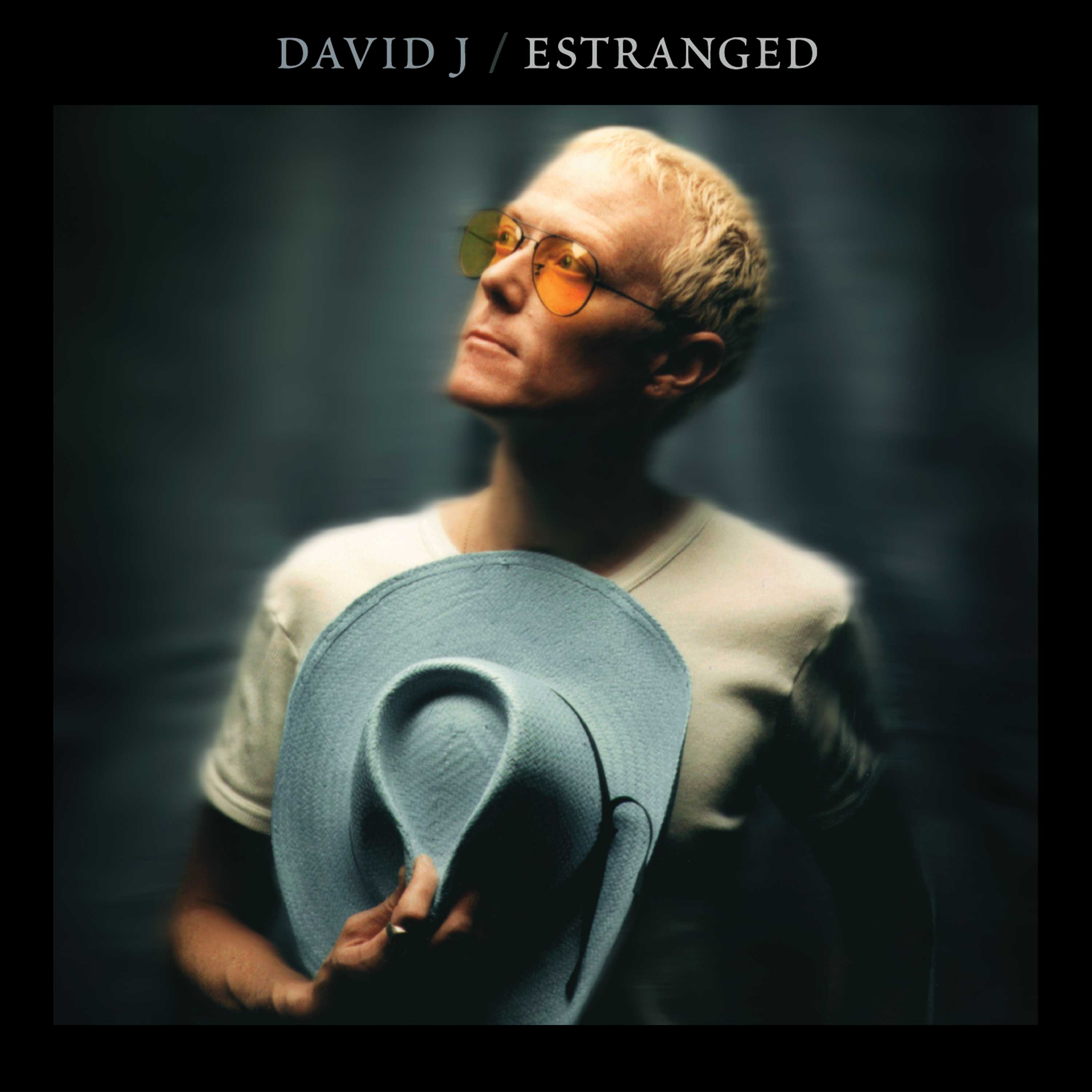 David J - Estranged (Double Blue Vinyl) - Cleopatra Records