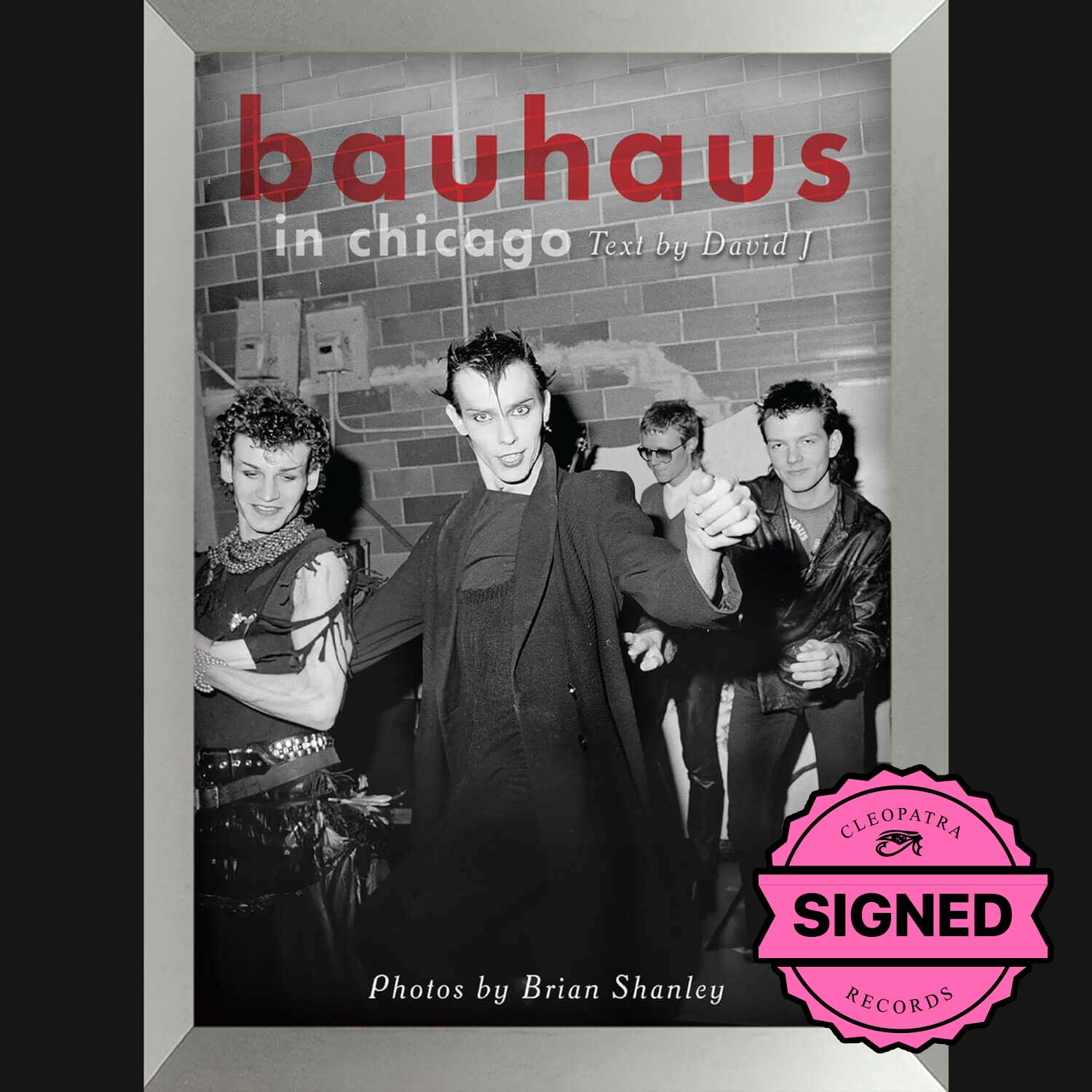 Bauhaus In Chicago (David J / Brian Shanley - Hardcover Book - Signed by David J)