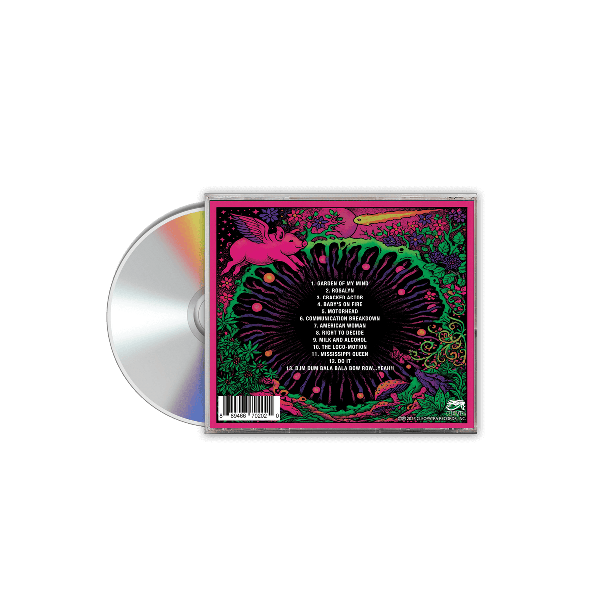 Pink Fairies - Covered In Pink (CD)