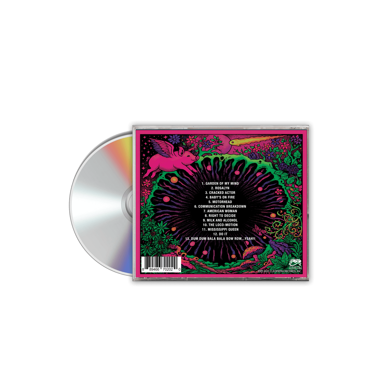 Pink Fairies - Covered In Pink (CD)