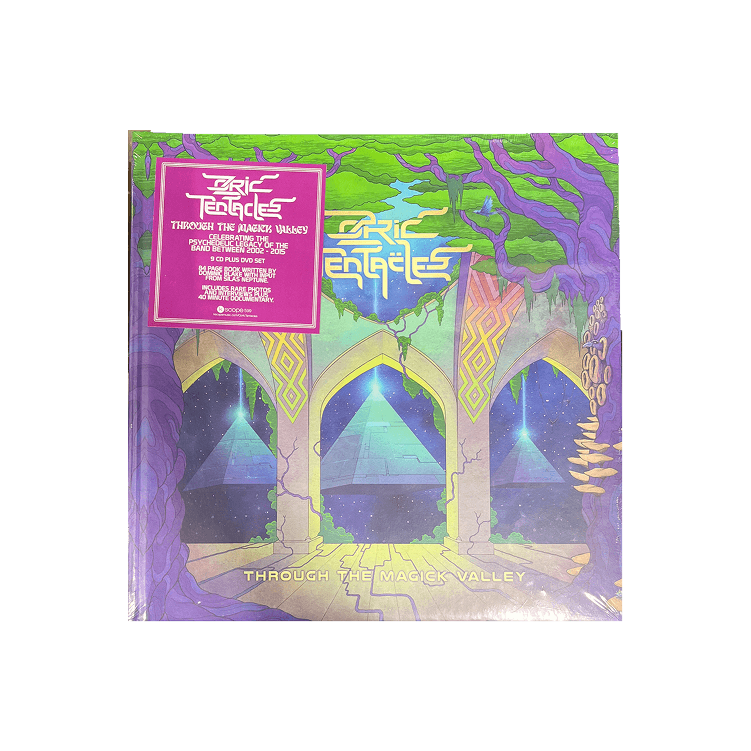 Ozric Tentacles - Through The Magick Valley (9 CD + DVD Box Set)
