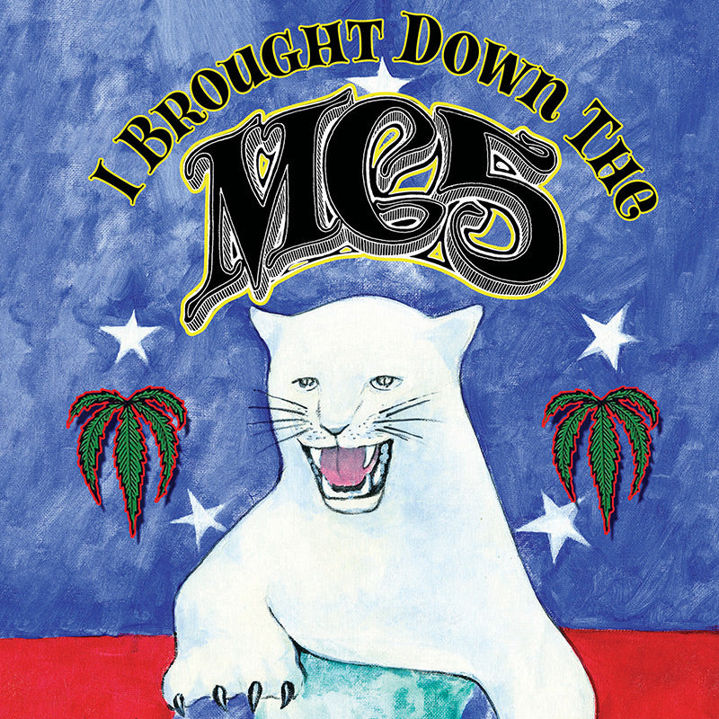 I Brought Down The MC5 (Book)