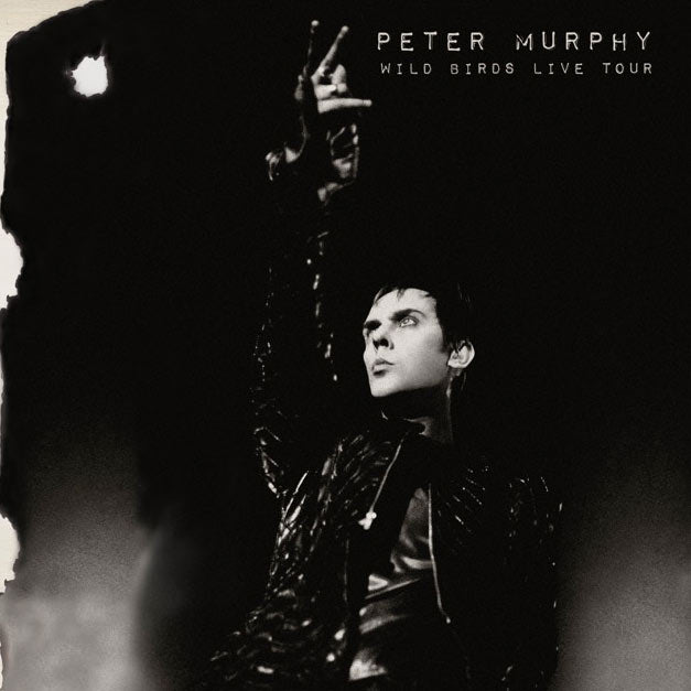 Peter Murphy - Wild Birds Live Tour (Limited Edition White 2 LP) - Cleopatra Records