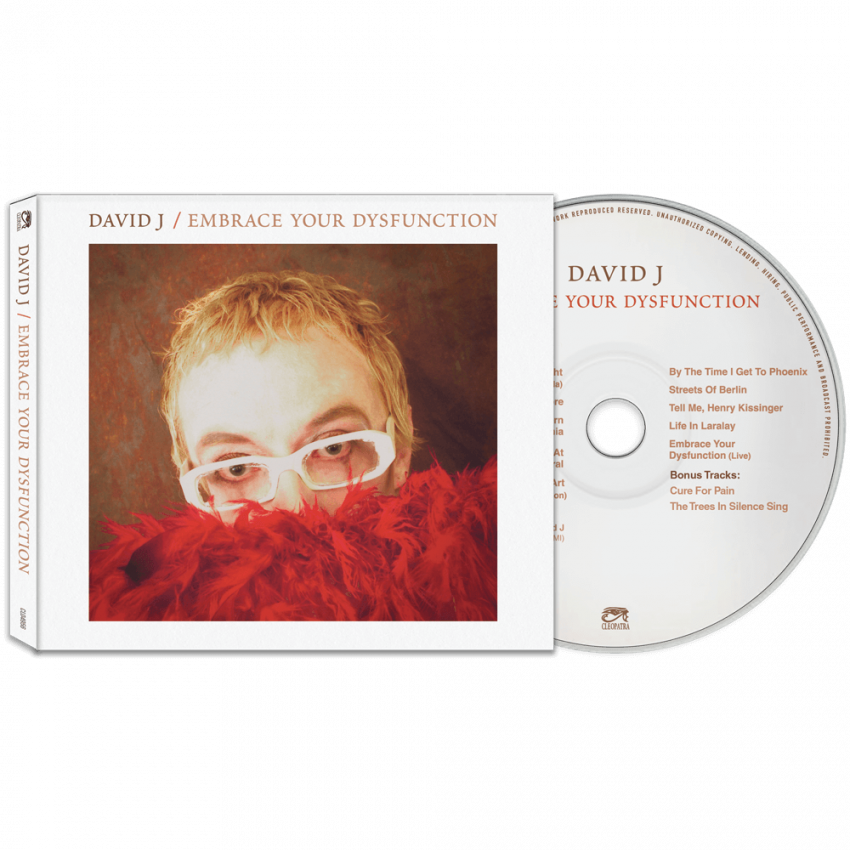 David J - Embrace Your Dysfunction (CD)